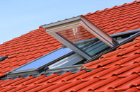 Burnby roof window